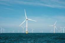 Offshore Wind Farm (Photo by Jesse De Meulenaere on Unsplash)