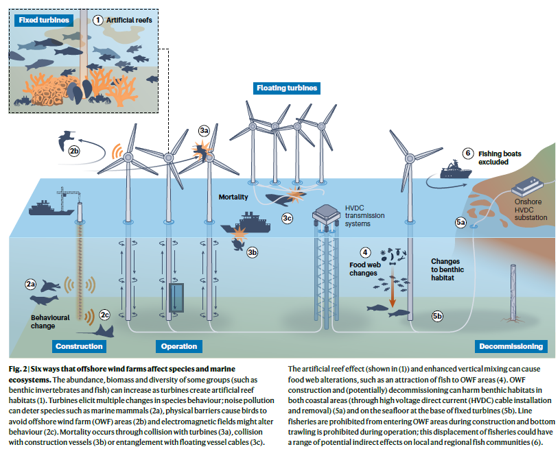 Figure from publication: Assessing, monitoring and mitigating the effects of offshore wind farms on biodiversity